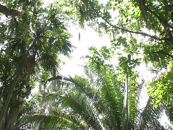 DSC01693