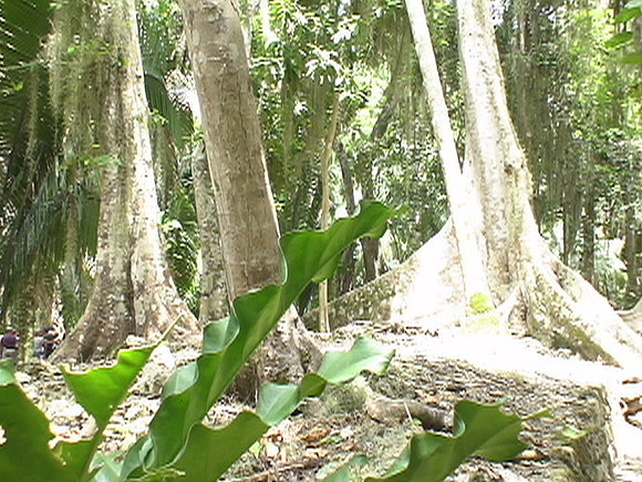 DSC01694