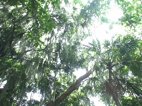 DSC01684