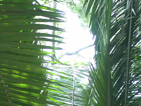 DSC01680