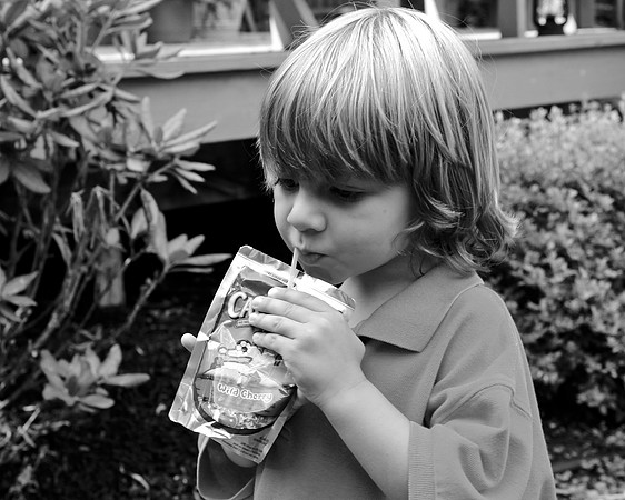 IMG_0533 - Version 2
