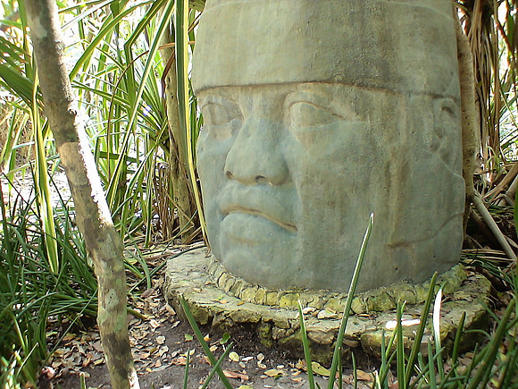 DSC01044_DCE