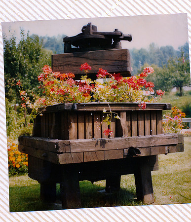schenk photo scans_20190305_0065
