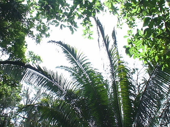 DSC01685