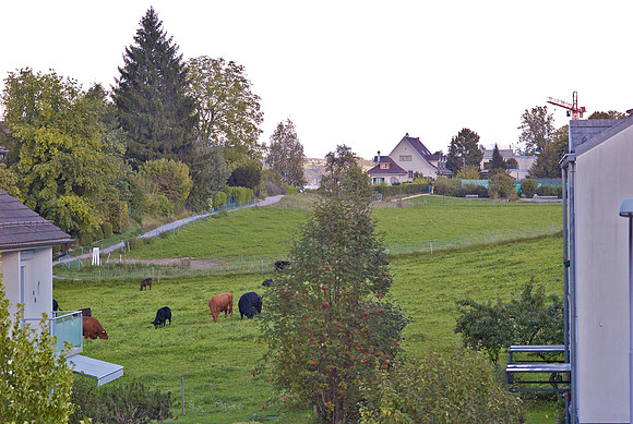 View from 91 Kalchbuehl Strasse