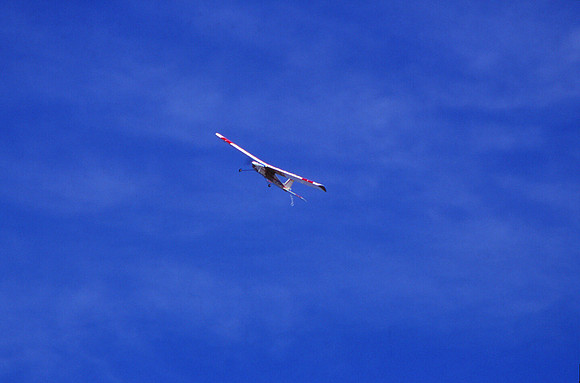 Edward Slides E_20150127_0012