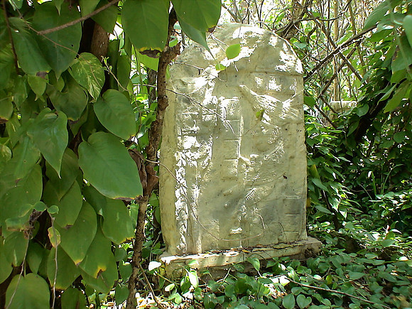 DSC01035_DCE
