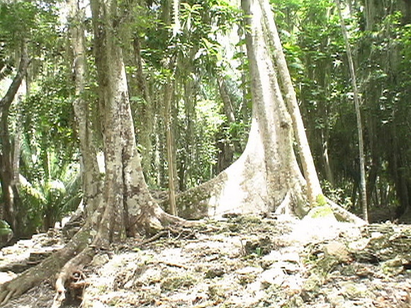 DSC01695