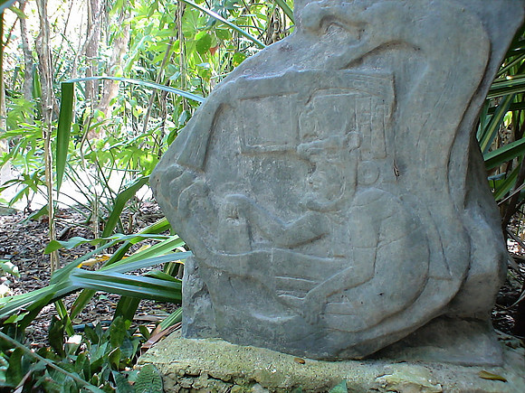 DSC01047_DCE