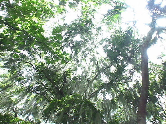 DSC01682