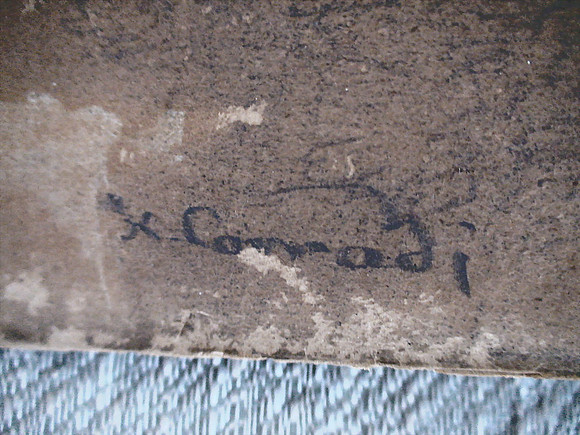 DSC01397_DCE