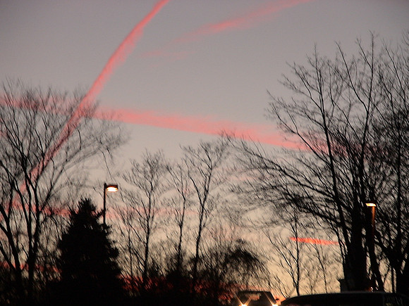 DSC00390