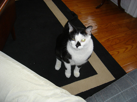 DSC00003