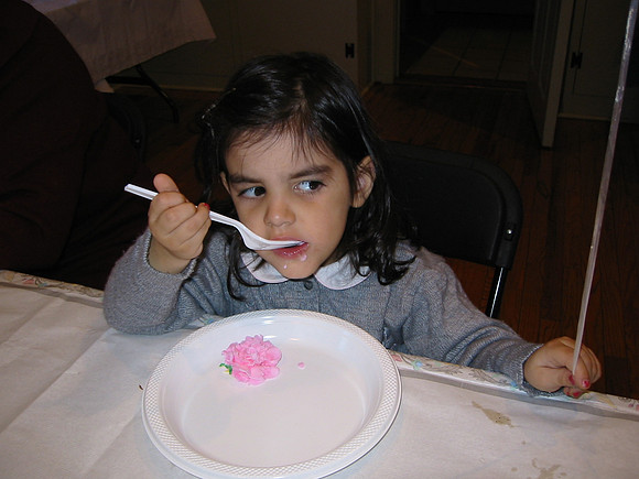 100-0094_IMG