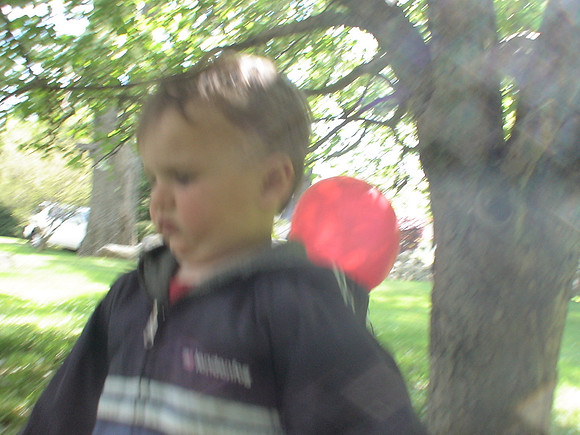 DSC02419