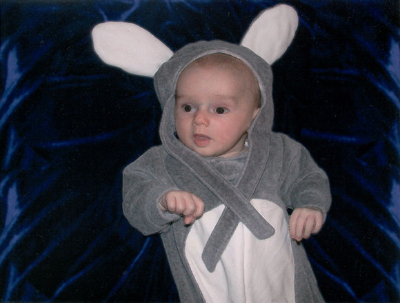 andrewbunny01