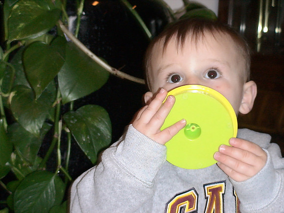 DSC02152_DCE