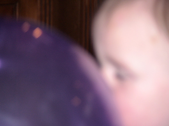 DSC01551