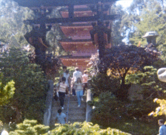 A003 15 - Version 6