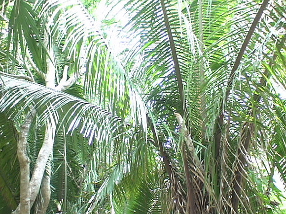 DSC01677