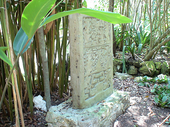 DSC01052_DCE