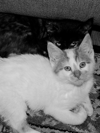IMG_0499 - Version 2