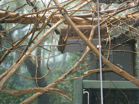 116-1674_IMG