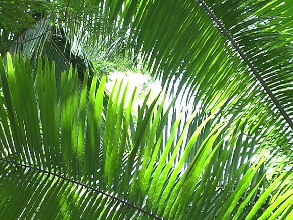 DSC01679
