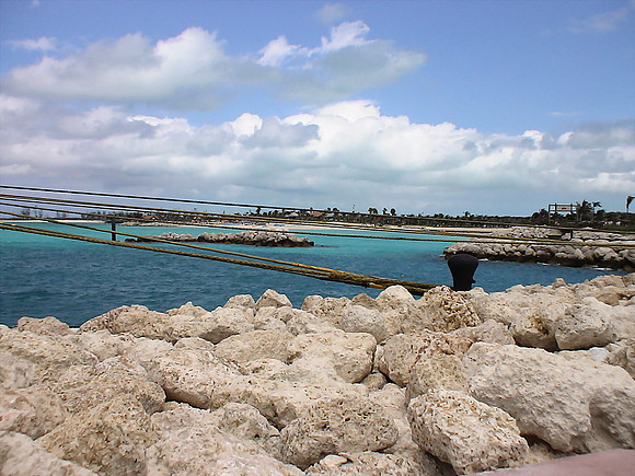 DSC01197_DCE