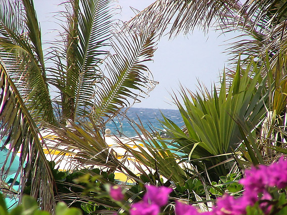 DSC01289_DCE