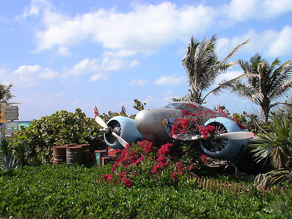 DSC01327_DCE
