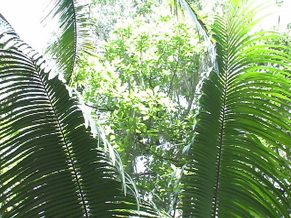 DSC01681