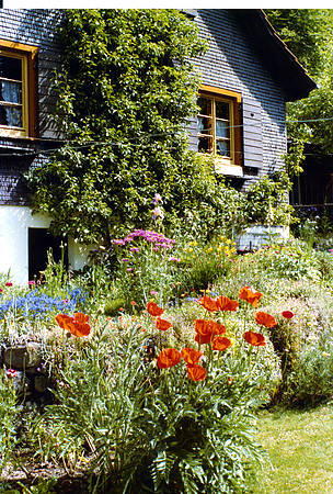 schenk photo scans_20190318_0006