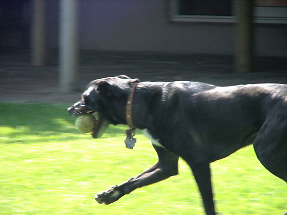 DSC02336_DCE