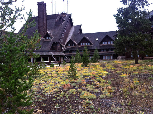 Old Faithful Inn