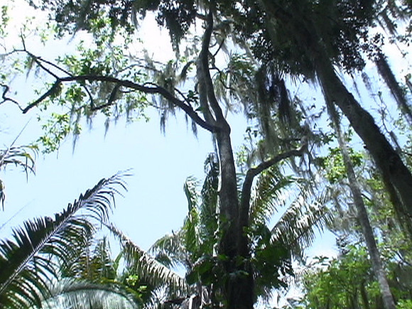 DSC01691