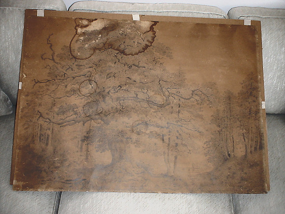 DSC01391_DCE