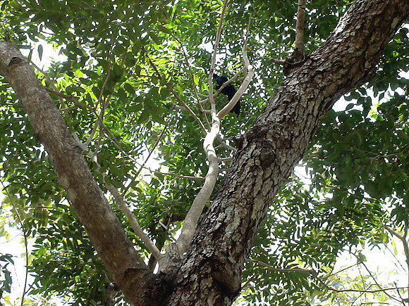 DSC01037_DCE