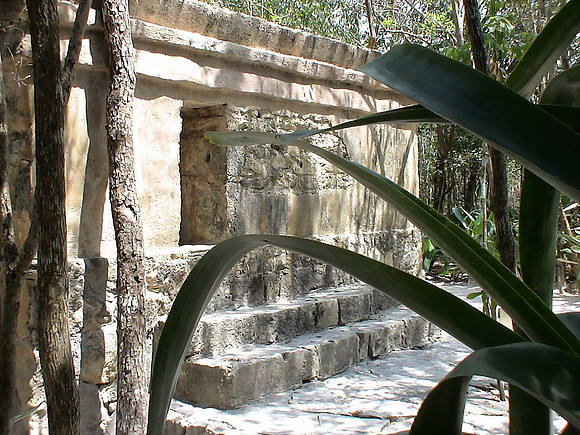 DSC01043_DCE