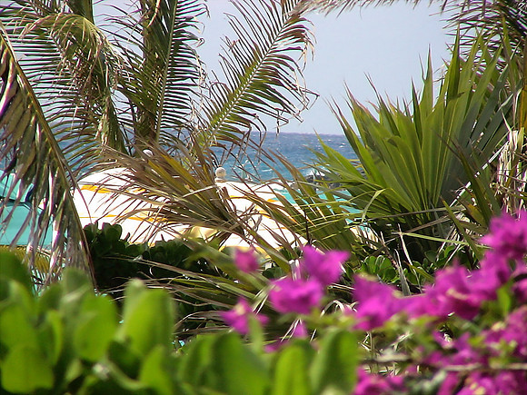 DSC01290_DCE