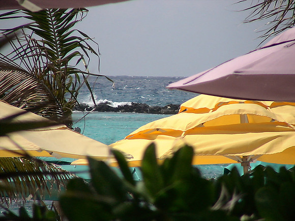 DSC01288_DCE