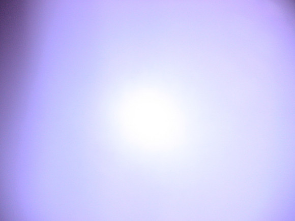 DSC01487