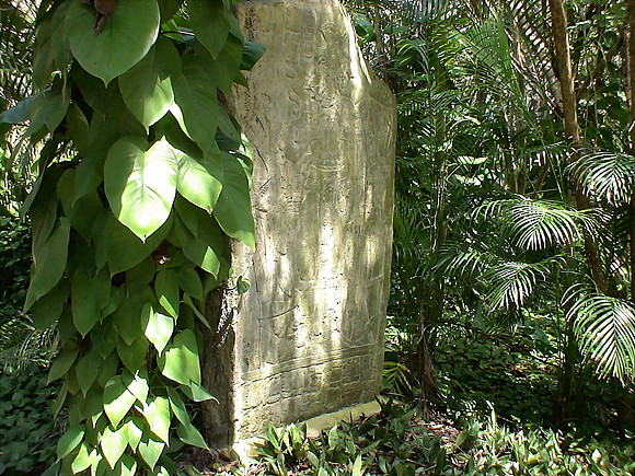 DSC01033_DCE