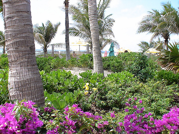 DSC01277_DCE