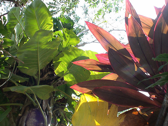 DSC01040_DCE