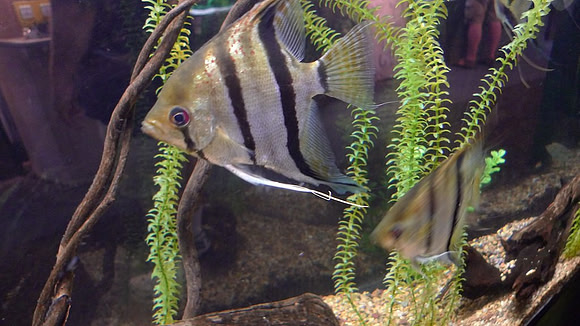 L1050880