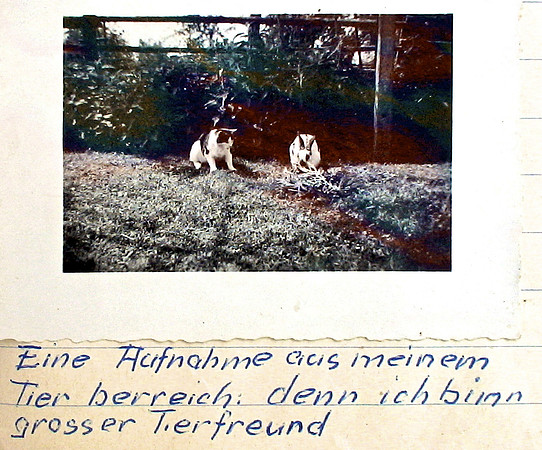 P20070915 210 of 342