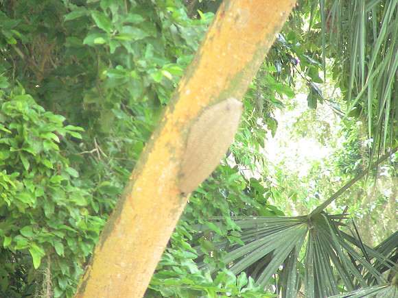 DSC01668