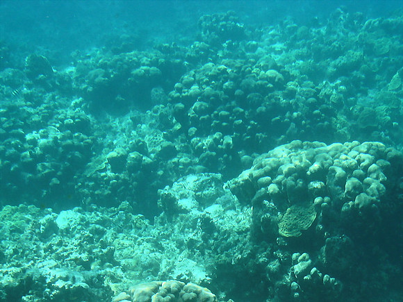 DSC00937_DCE