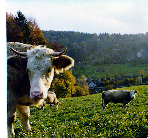 schenk photo scans_20190318_0003